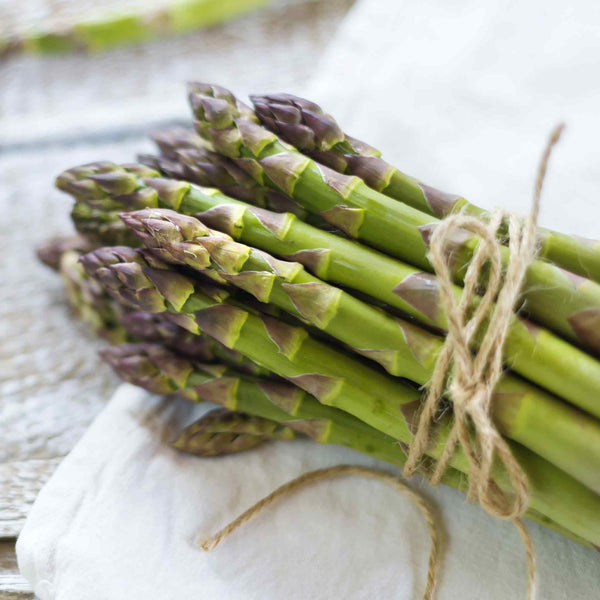Asparagus Crowns 'Backlim'