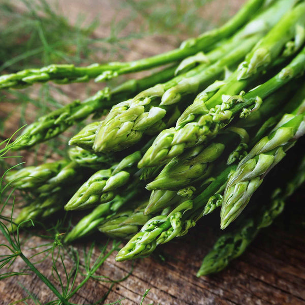 Asparagus Crowns 'Bacchus'