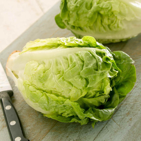 Lettuce 'Little Gem'