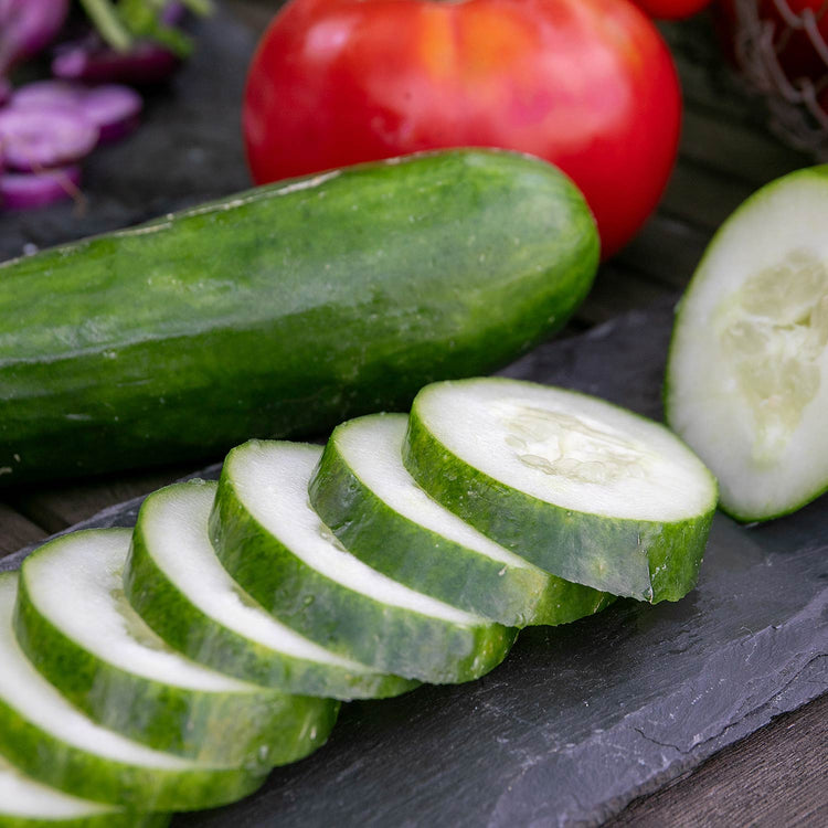Cucumber 'Outdoor Duo'