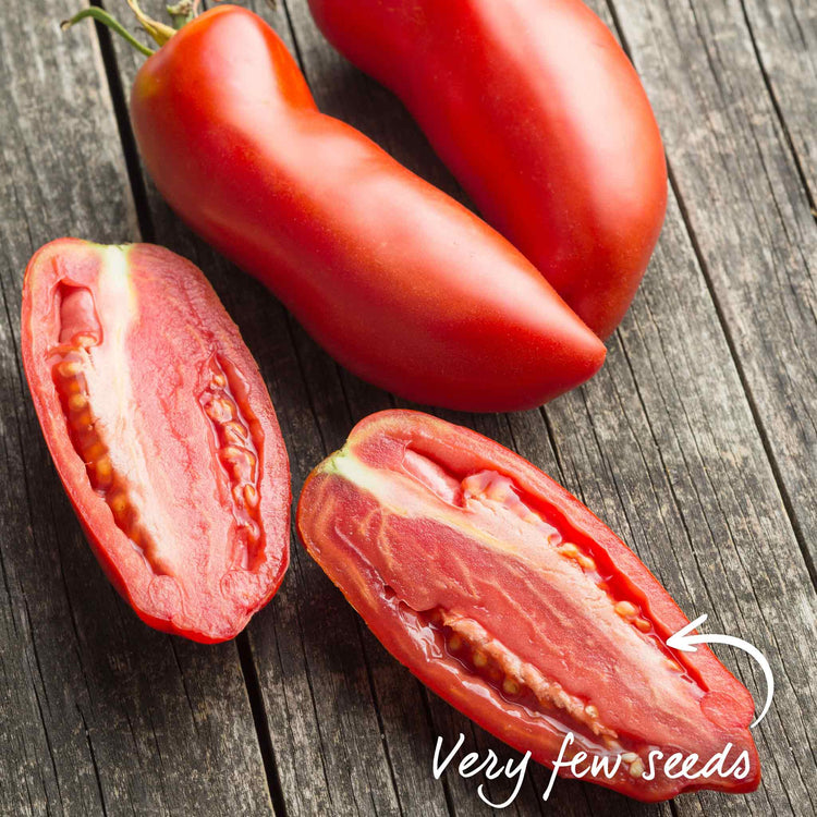 Grafted Cordon Tomato 'Pozzano'
