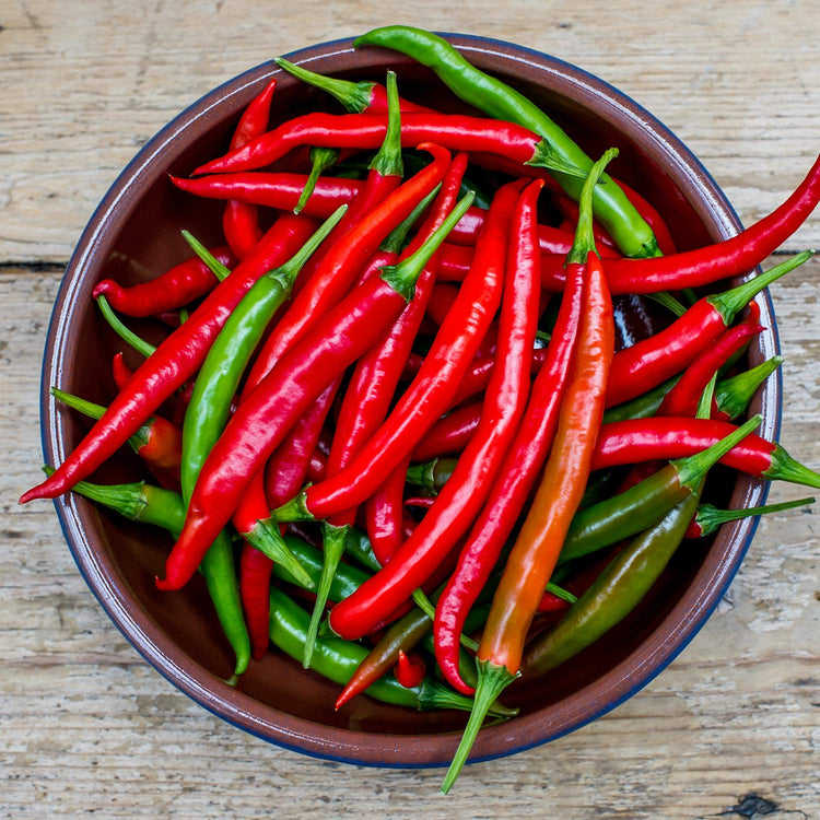 Chilli Balcony Collection