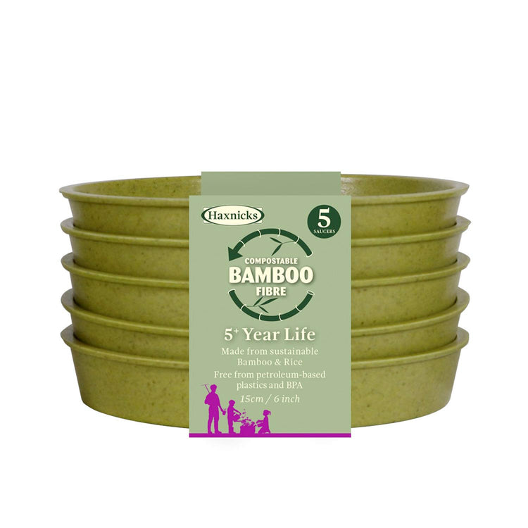 Bamboo Saucers in Sage Green
