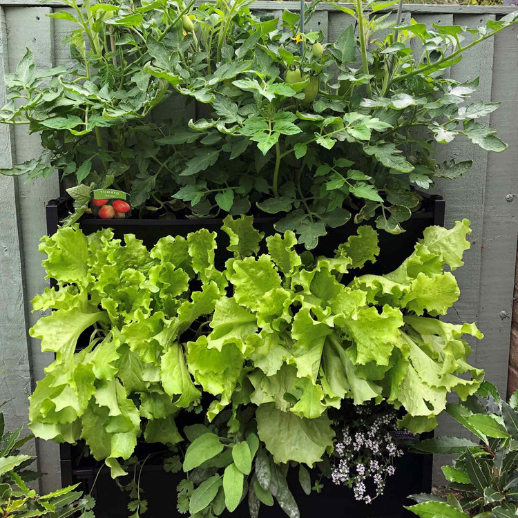 PlantBox Vertical Wall Planters