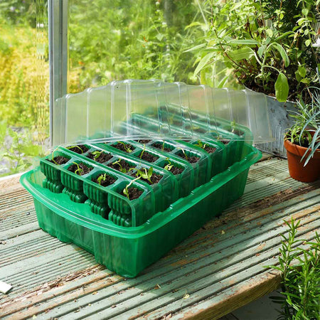 Gro-Sure Visiroot Deep Cell Kit with Sweet Pea Seed Duo