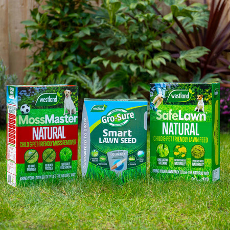 Westland Natural Lawn Care Rescue Bundle