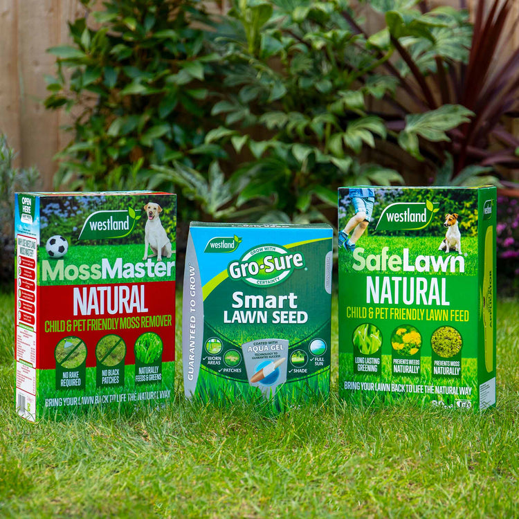 Westland Natural Lawn Care Rescue Bundle
