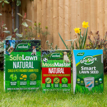 Westland Natural Lawn Care Rescue Bundle