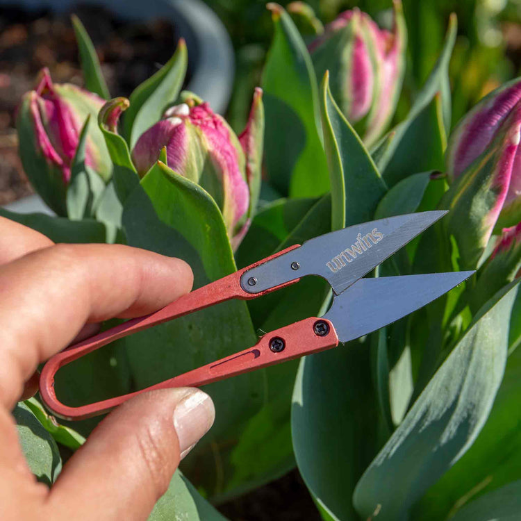 Unwins Micro Snips