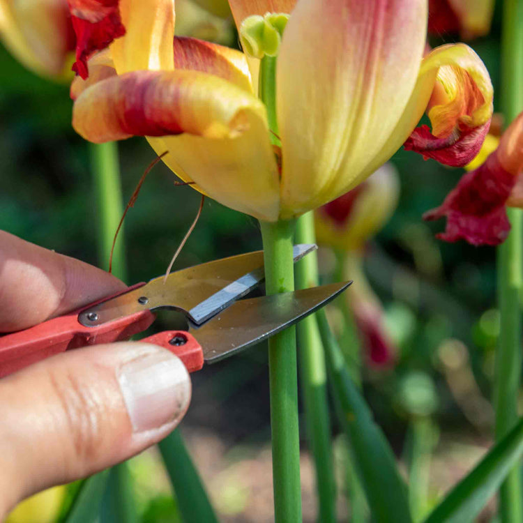 Unwins Micro Snips
