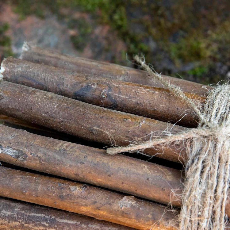 Grow It Willow Plant Sticks