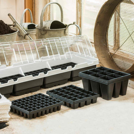 Windowsill Propagator Kit
