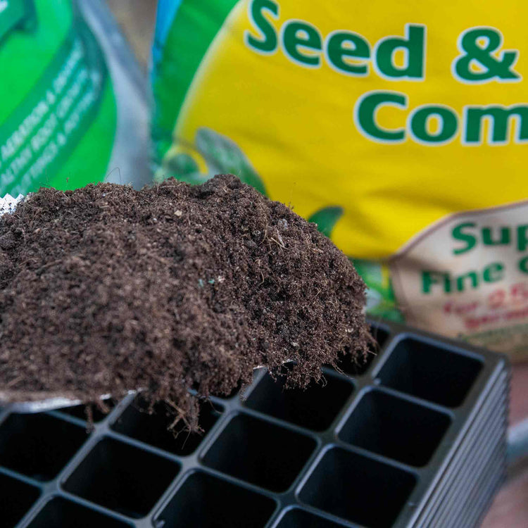 12 x 24 Cell Seed Trays