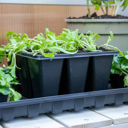 12 x 9 Cell Deep Seed Tray