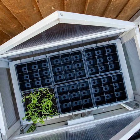 12 x 9 Cell Deep Seed Tray