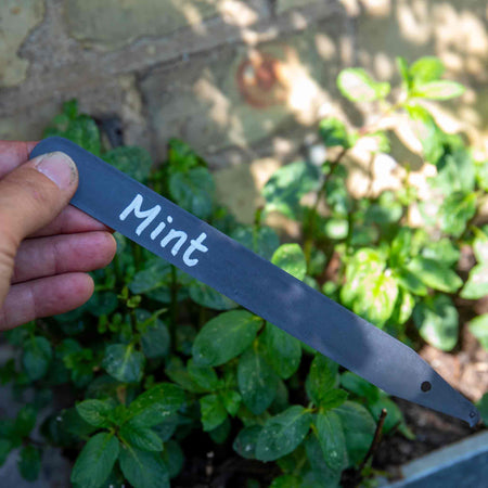 Plant Labels