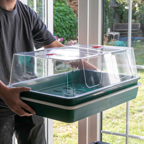 XL High Dome Electric Propagator