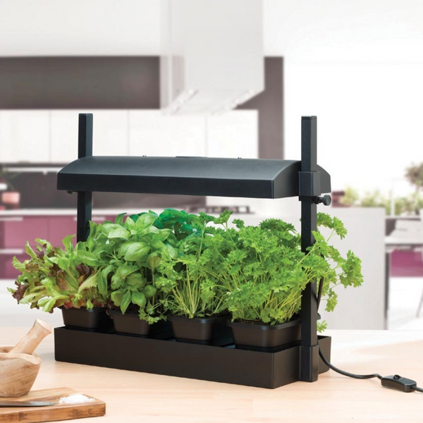 LED Light Grow Garden