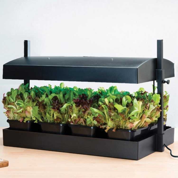 LED Light Grow Garden