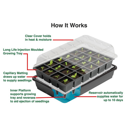 Ultimate Cell Self Watering Seed Success Kit