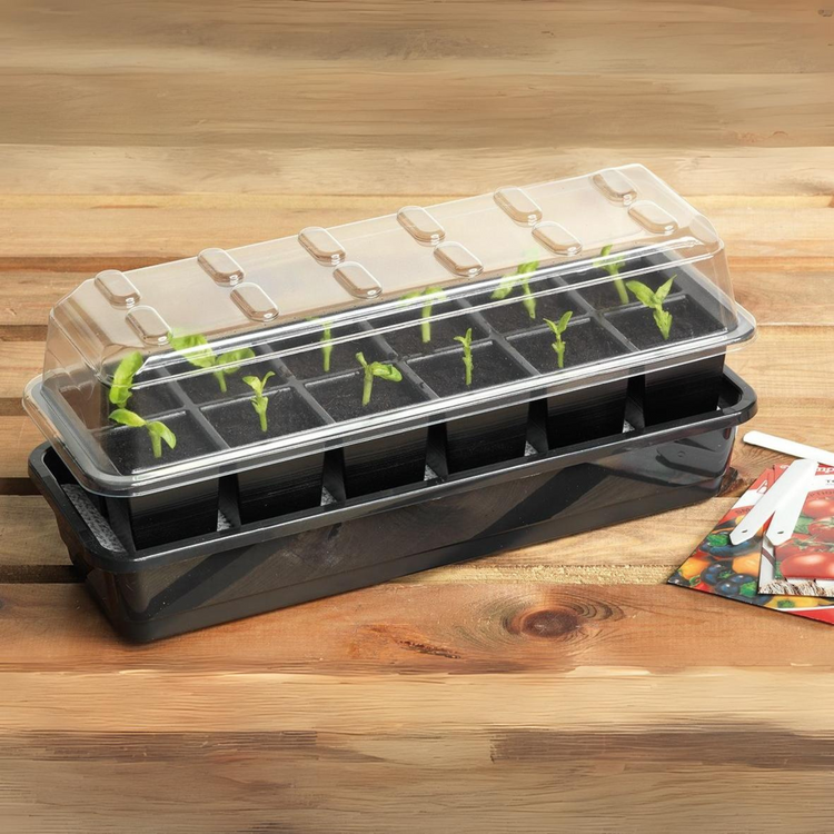 Ultimate Cell Self Watering Seed Success Kit