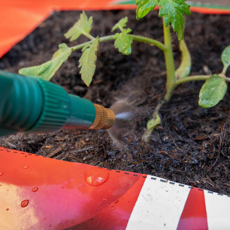 Westland Big Tom Tomato Planter