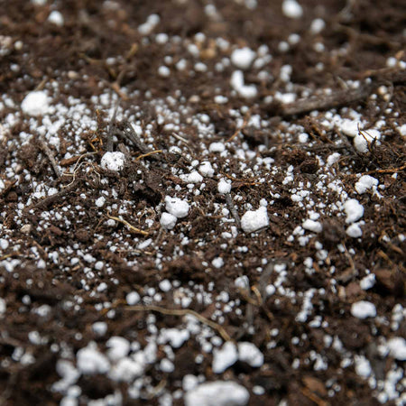 Sinclair Perlite