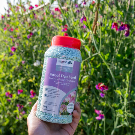 Marshalls Concentrated Slow Release Sweet Pea Feed Granules