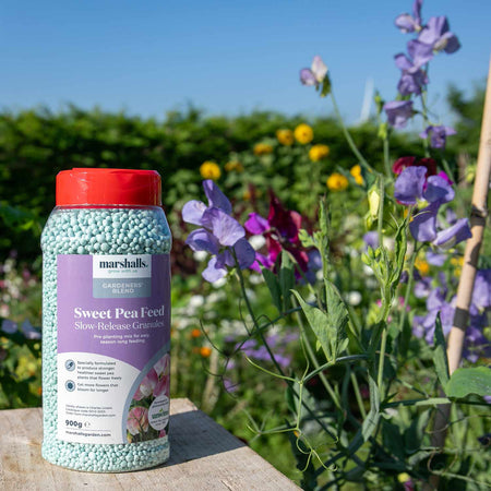 Marshalls Concentrated Slow Release Sweet Pea Feed Granules