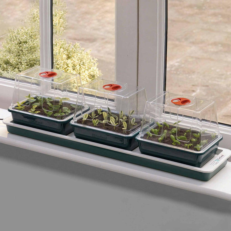 Garland Trio Top Electric Windowsill Propagator