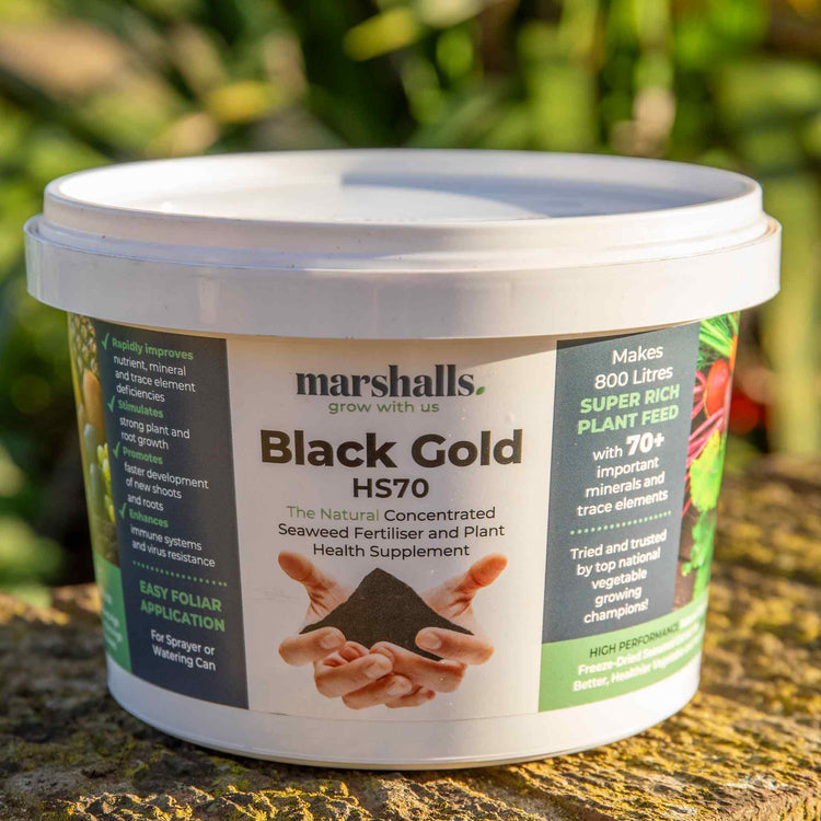 Marshalls Bio-Gro Black Gold Fertiliser 400g