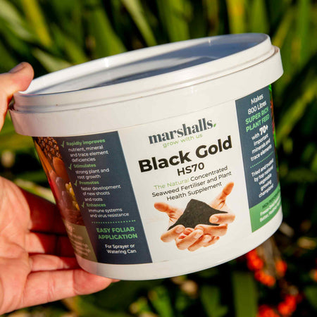 Marshalls Bio-Gro Black Gold Fertiliser 400g