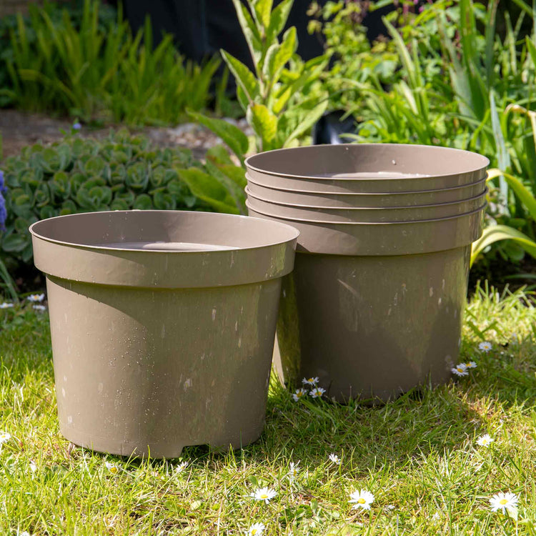 Taupe-Grey Plastic Plant Pots 10L