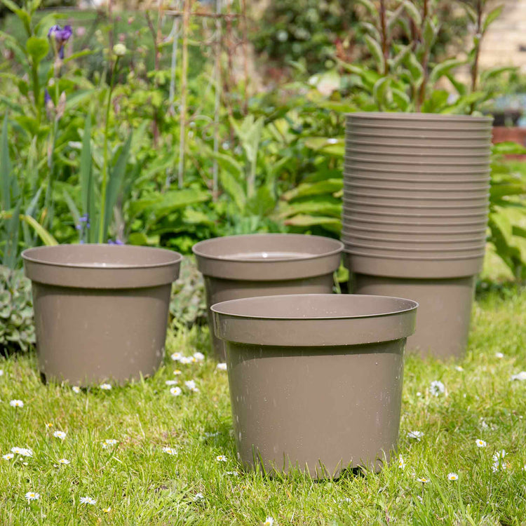 Taupe-Grey Plastic Plant Pots 10L