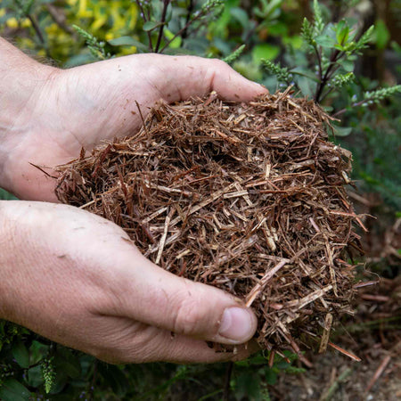 Strulch Organic Wheat Straw Mulch 100L