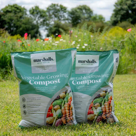 Marshalls Garden Vegetable Compost 50L