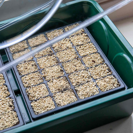 Heated Medium Propagator