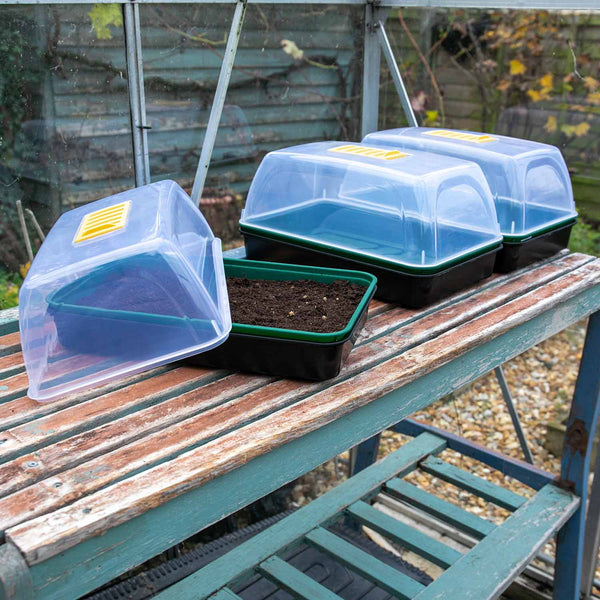 Seed Propagator Kit Medium