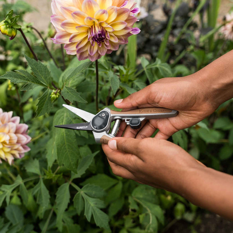 Kent & Stowe Garden Life Snips