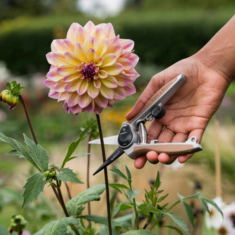 Kent & Stowe Garden Life Snips