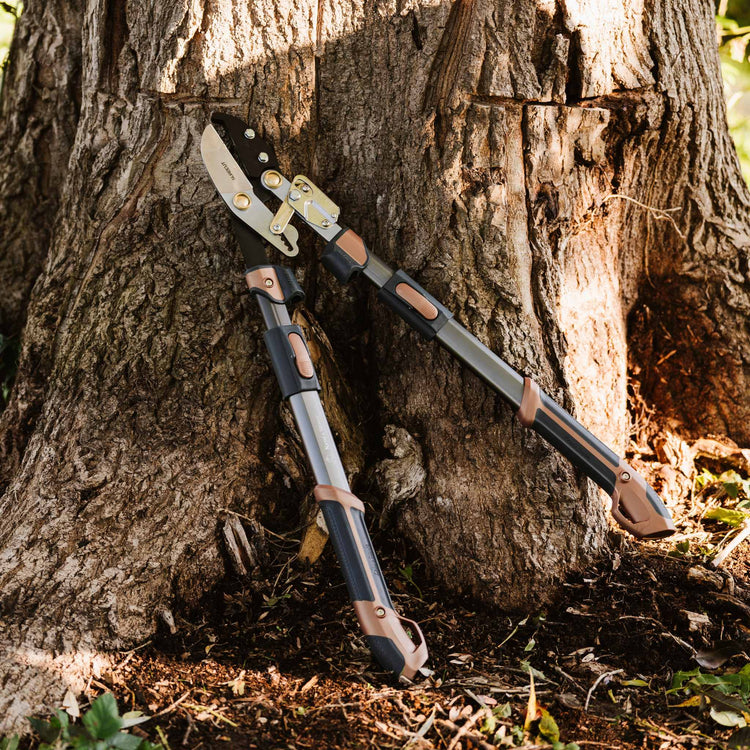 Kent & Stowe SureCut Hard Wood Extra Power Ratchet Anvil Loppers