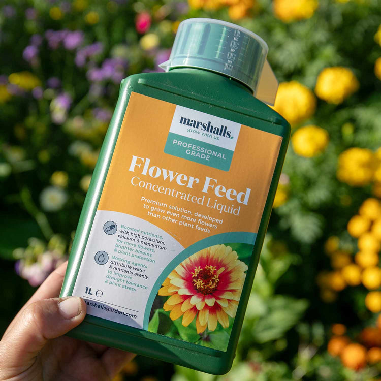 Marshalls Liquid Flower Feed