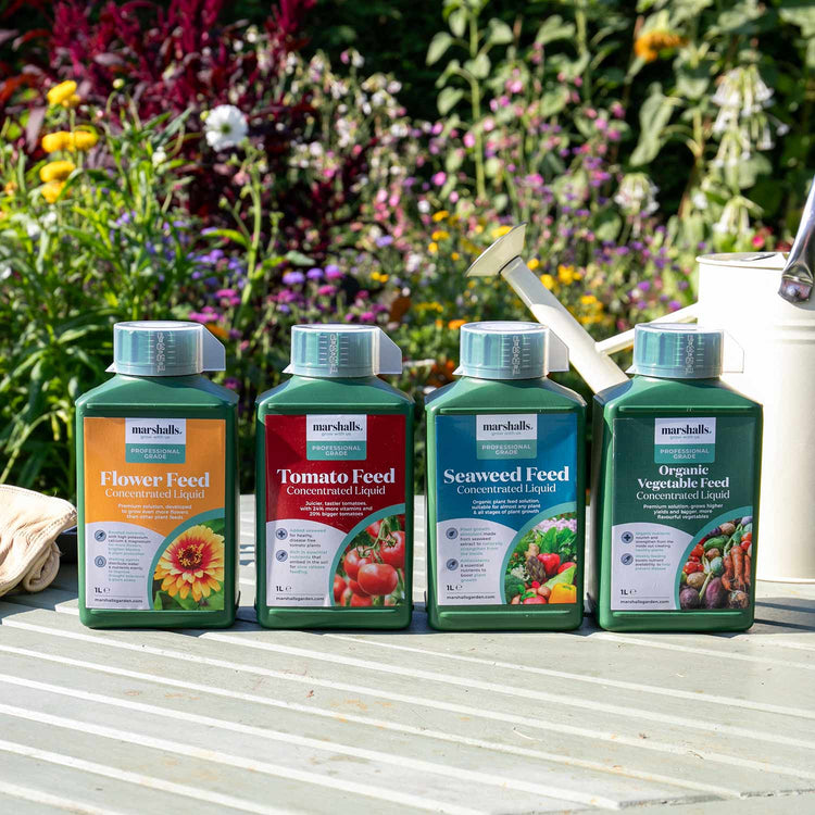 Marshalls Liquid Flower Feed