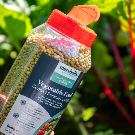 Marshalls Professional Granular Flower & Vegetable Feed 850g