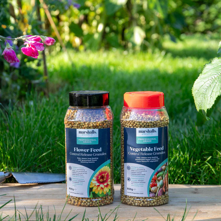 Marshalls Professional Granular Flower & Vegetable Feed 850g