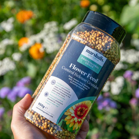 Marshalls Professional Granular Flower & Vegetable Feed 850g