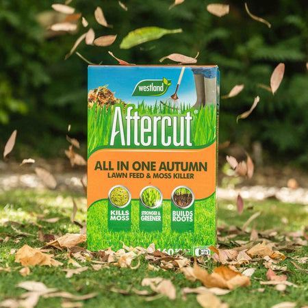 Westland Aftercut All in One Autumn Lawn Feed and Moss Killer