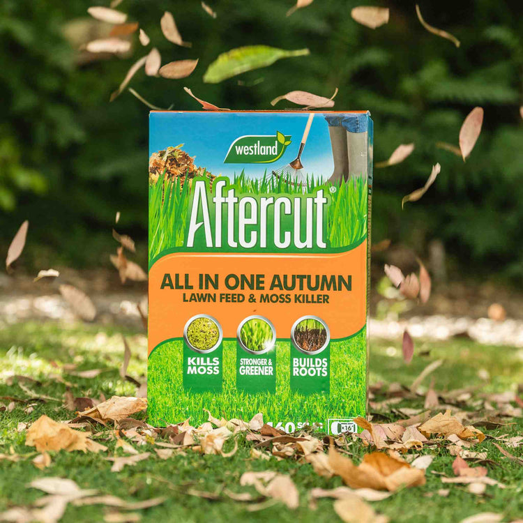 Westland Aftercut All in One Autumn Lawn Feed and Moss Killer
