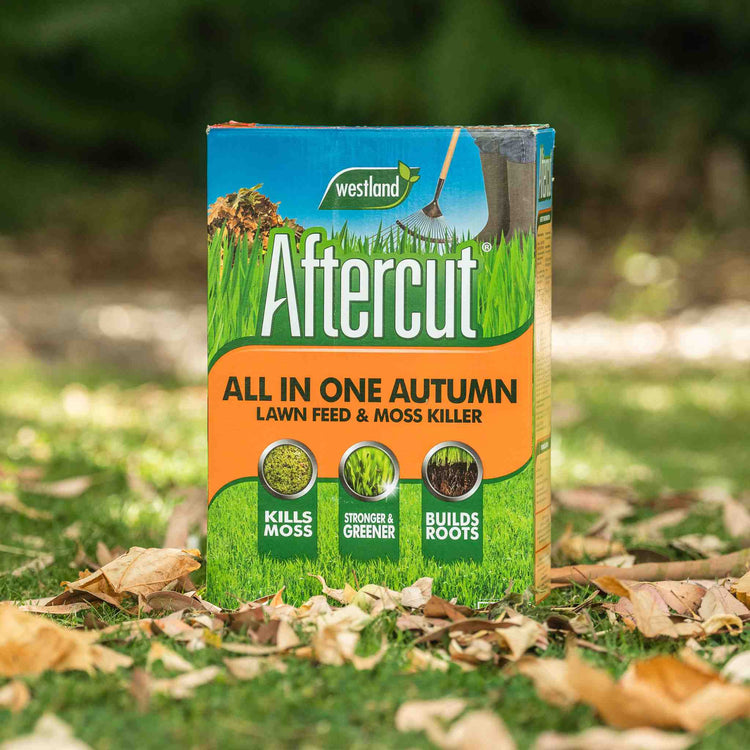 Westland Aftercut All in One Autumn Lawn Feed and Moss Killer