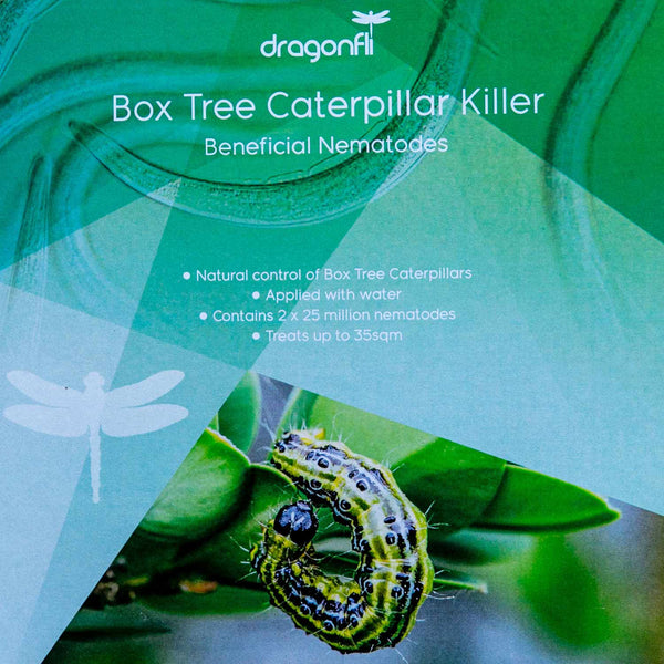 DragonFli Box Caterpillar Killer Nematodes 70sqm